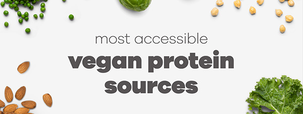 go to https://www.snapkitchen.com/blog/vegan-protein-sources/