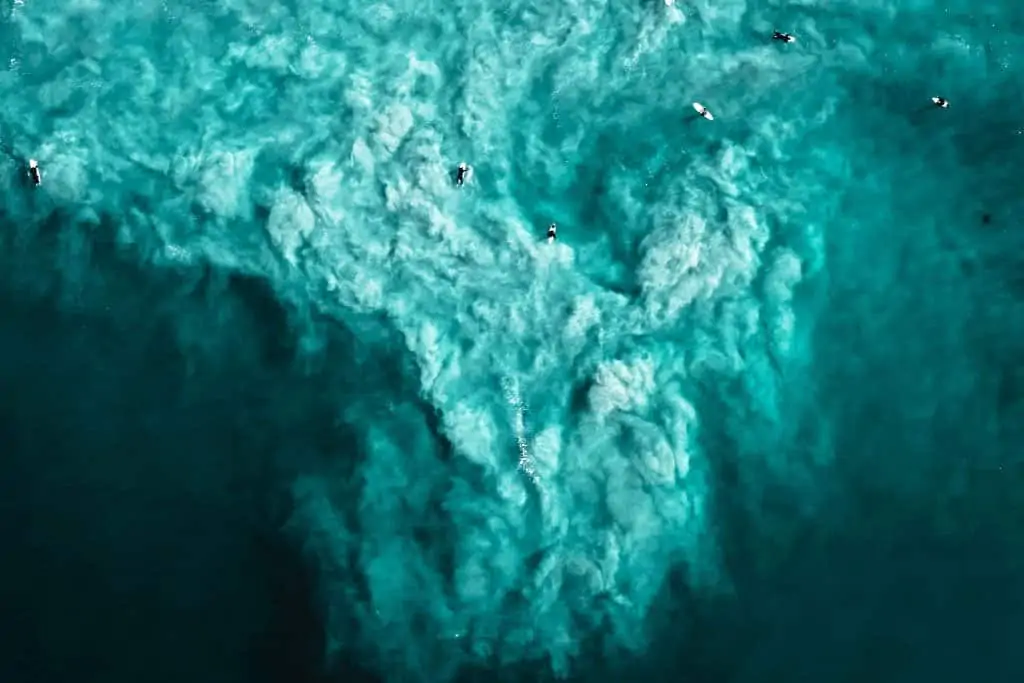 photo of surfers in the water