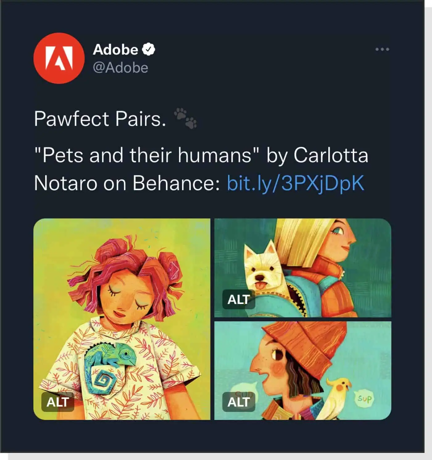 Screenshot of an Adobe social post