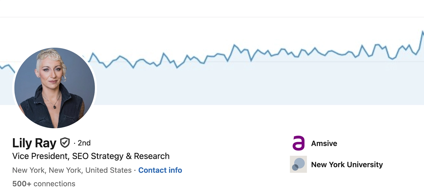 Screenshot of Lily Ray’s LinkedIn profile.