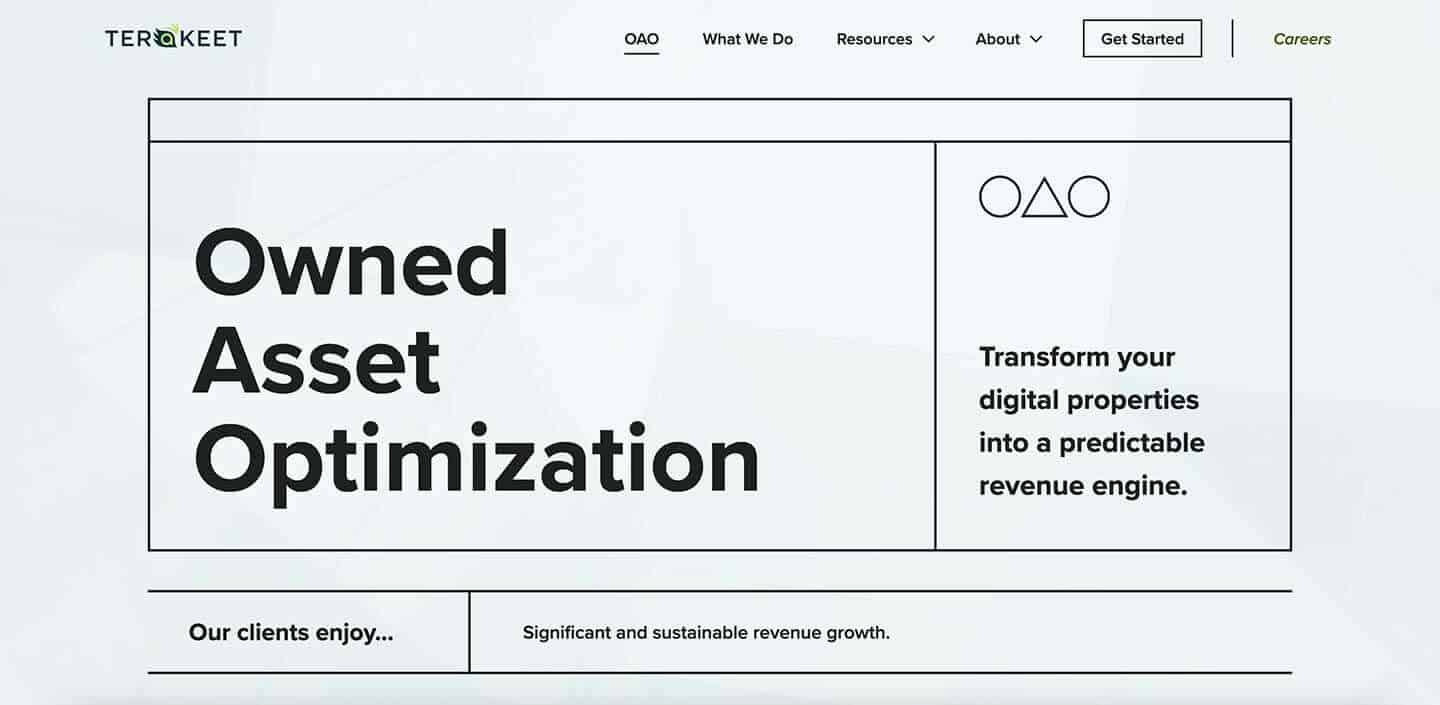 A screenshot of Terakeet's homepage.