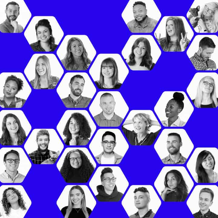Siege Media team photos in a hexagonal grid.