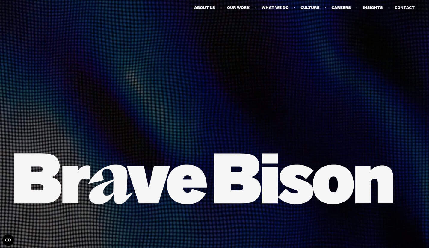 Brave Bison's website homepage.