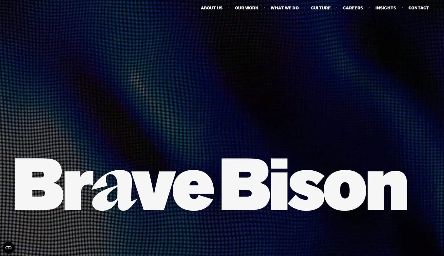 Brave Bison's website homepage.