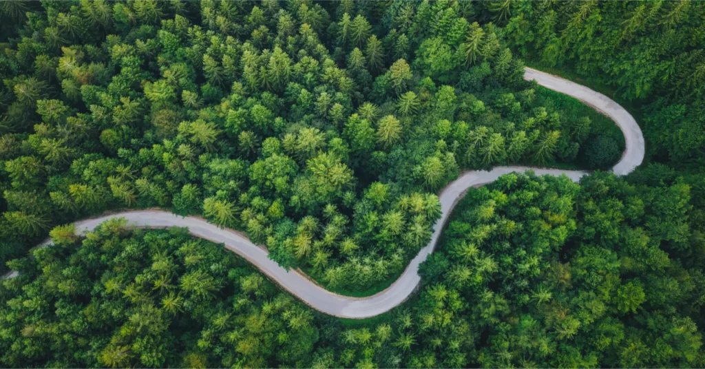 Aerial view photo of a road winding through a forest.