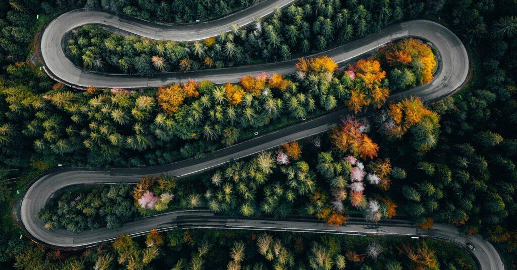 A winding road through a forest of trees with green and yellow leaves.