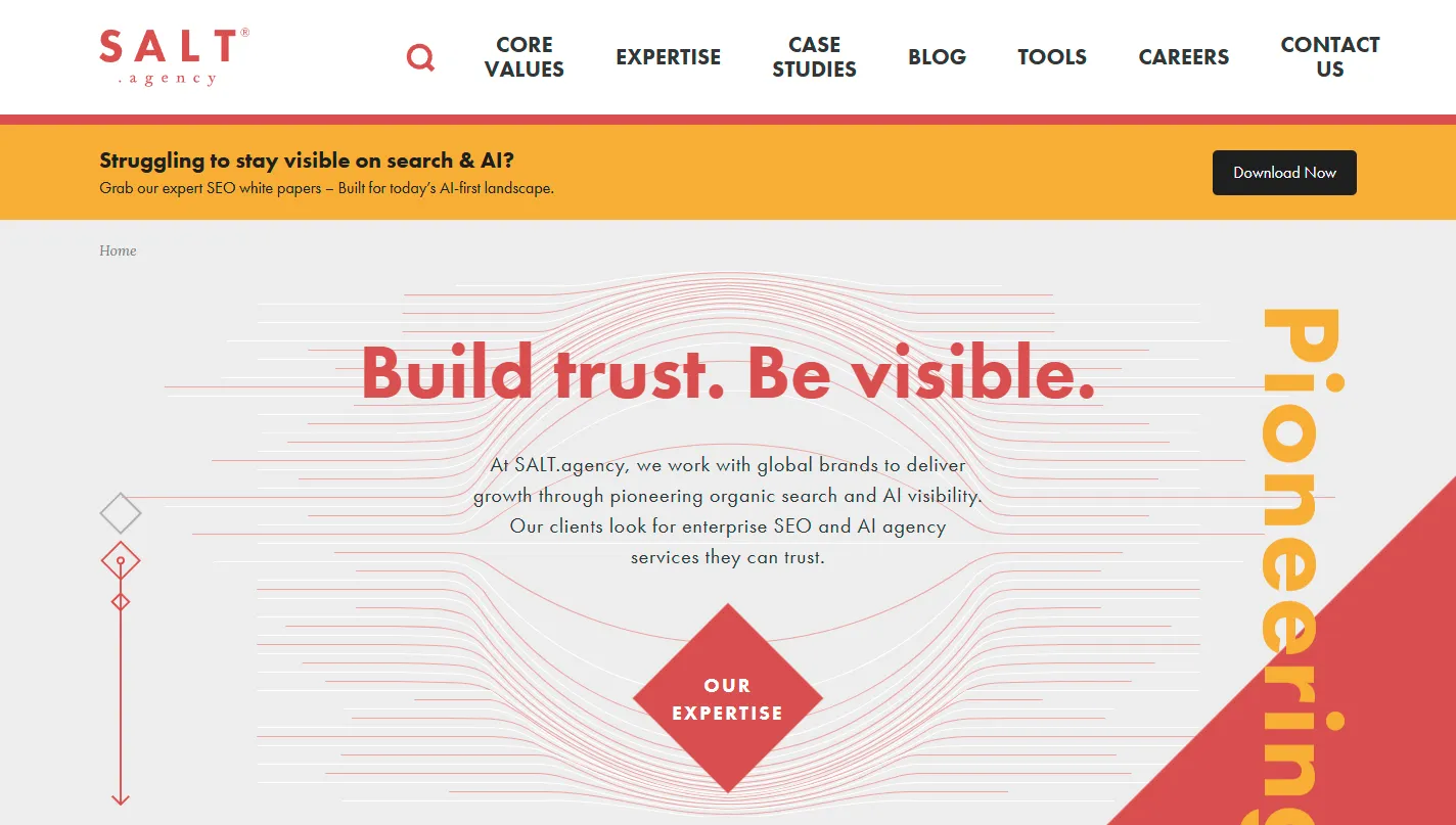The SALT.agency platform.