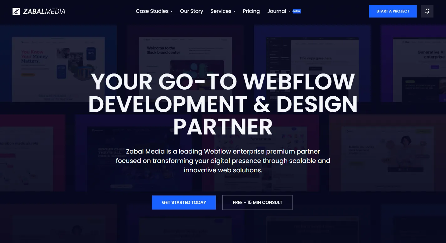 The Zabal Media platform.