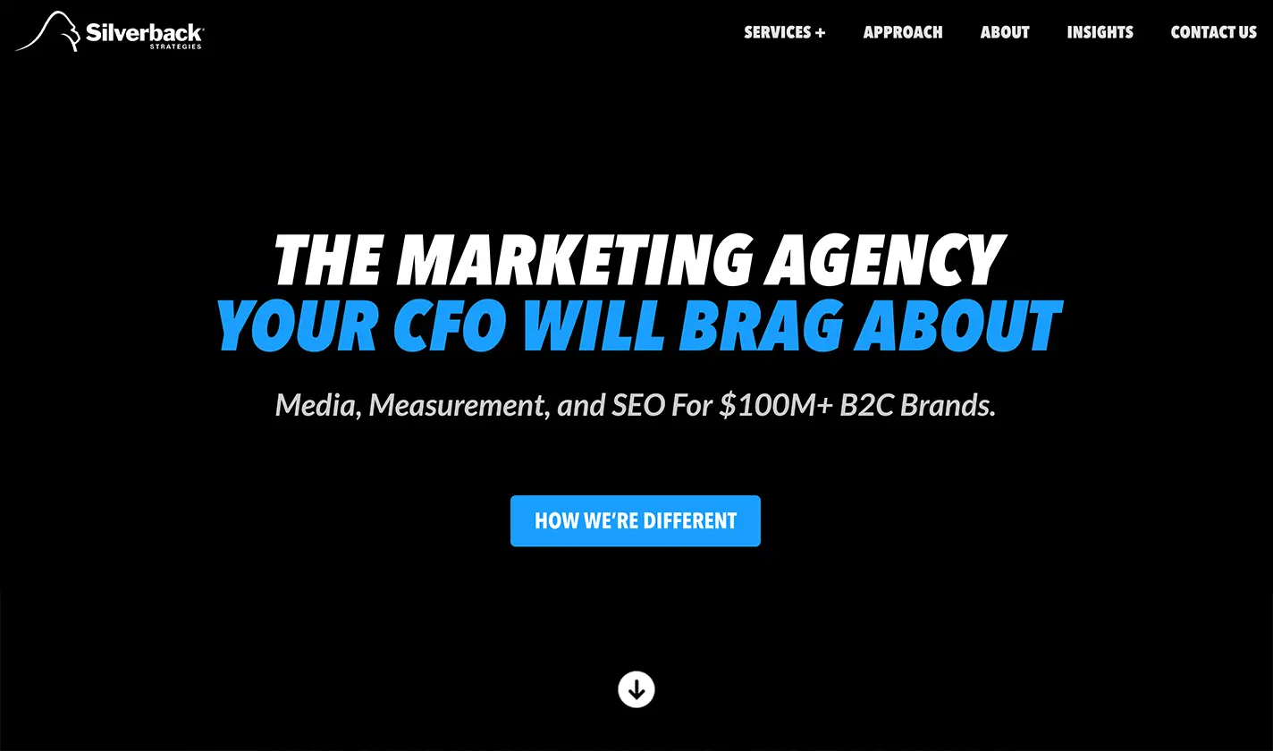 A screenshot of the Silverback Strategies website.