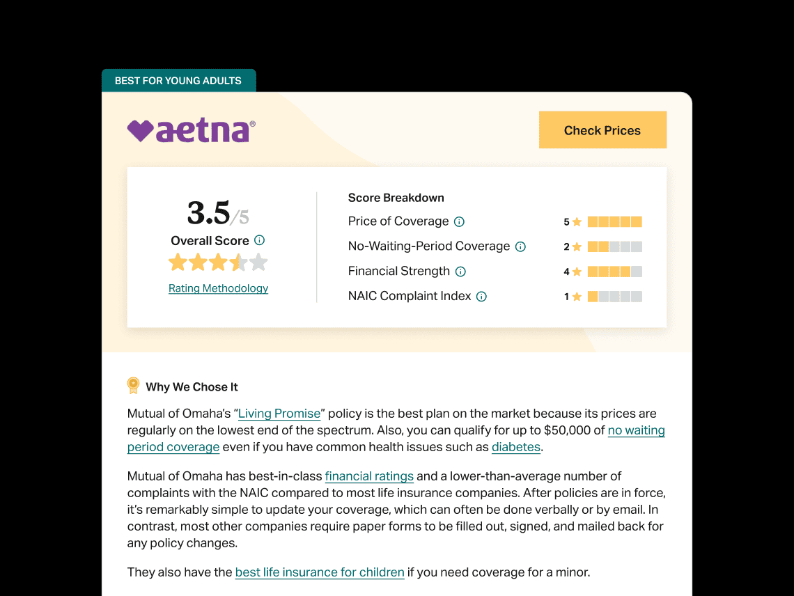web-design-07
